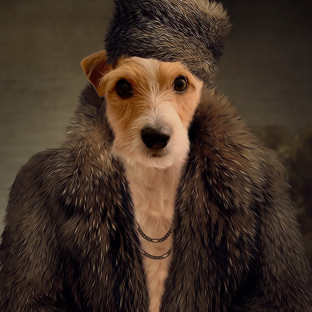 Meet your Posher, Ali